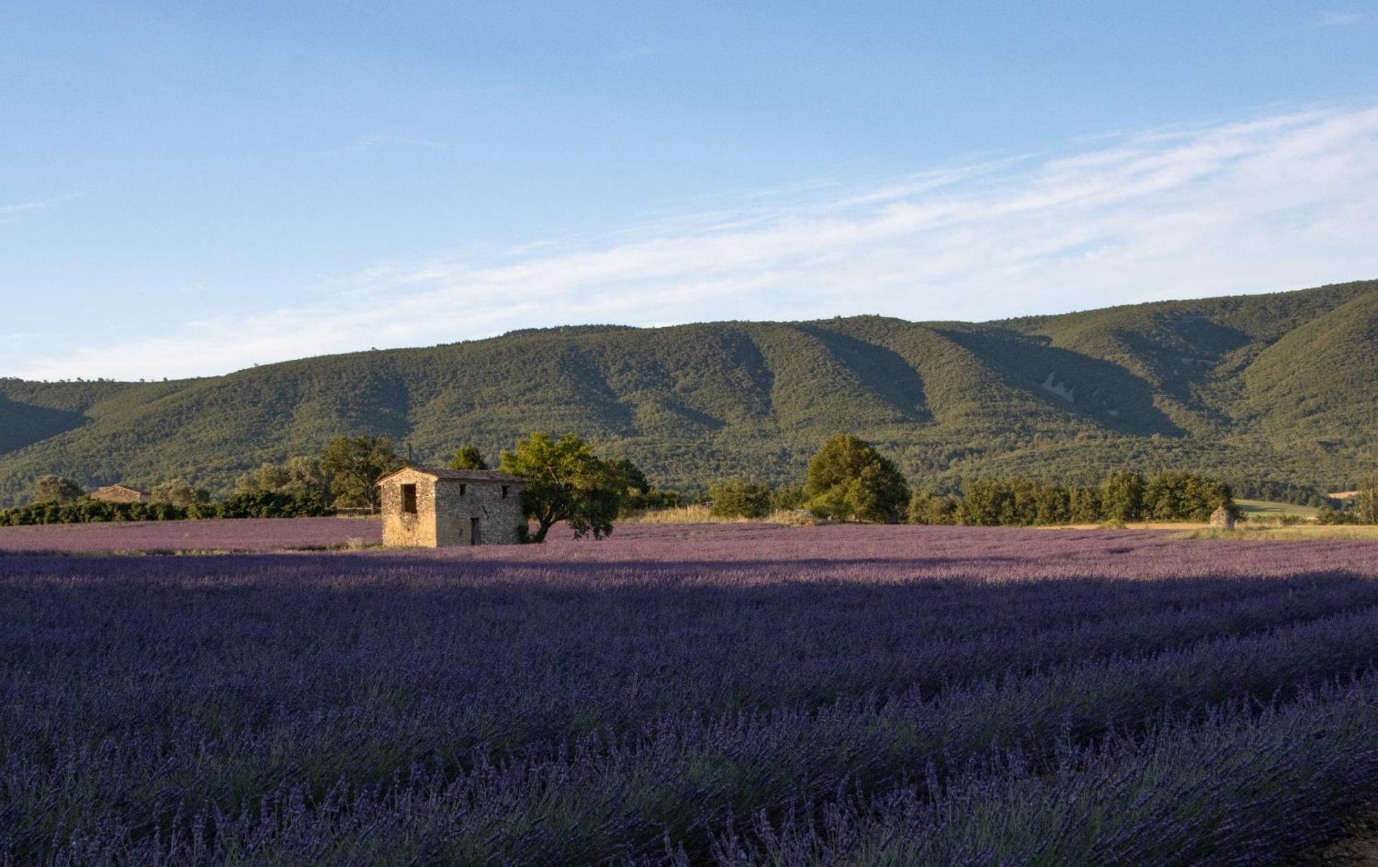 Studio Dans Le Luberon Céreste 외부 사진