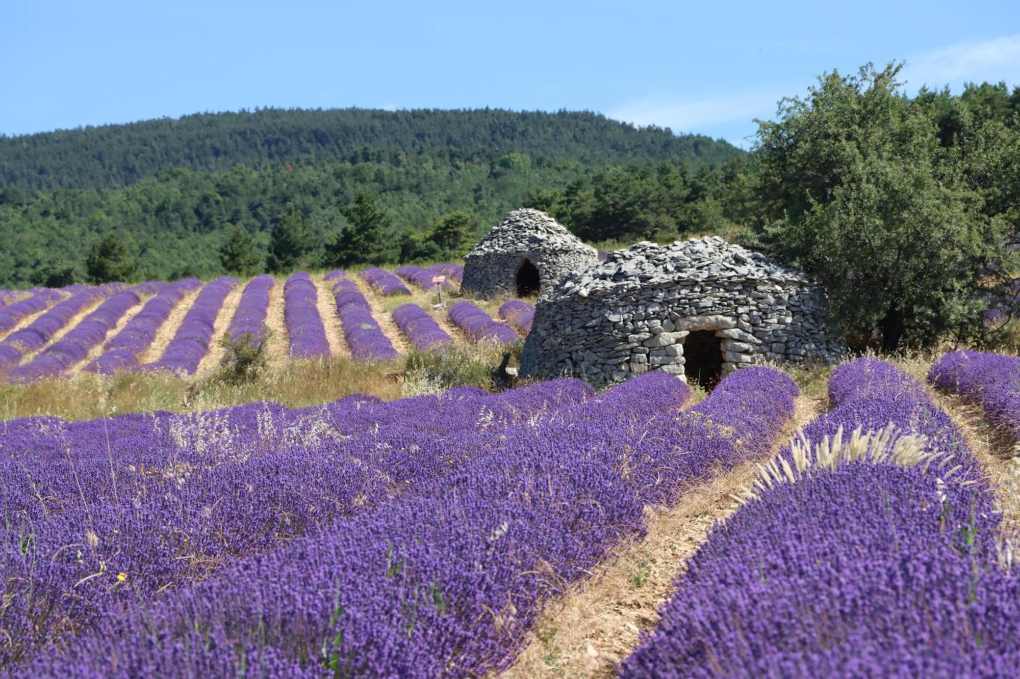 Studio Dans Le Luberon Céreste 외부 사진